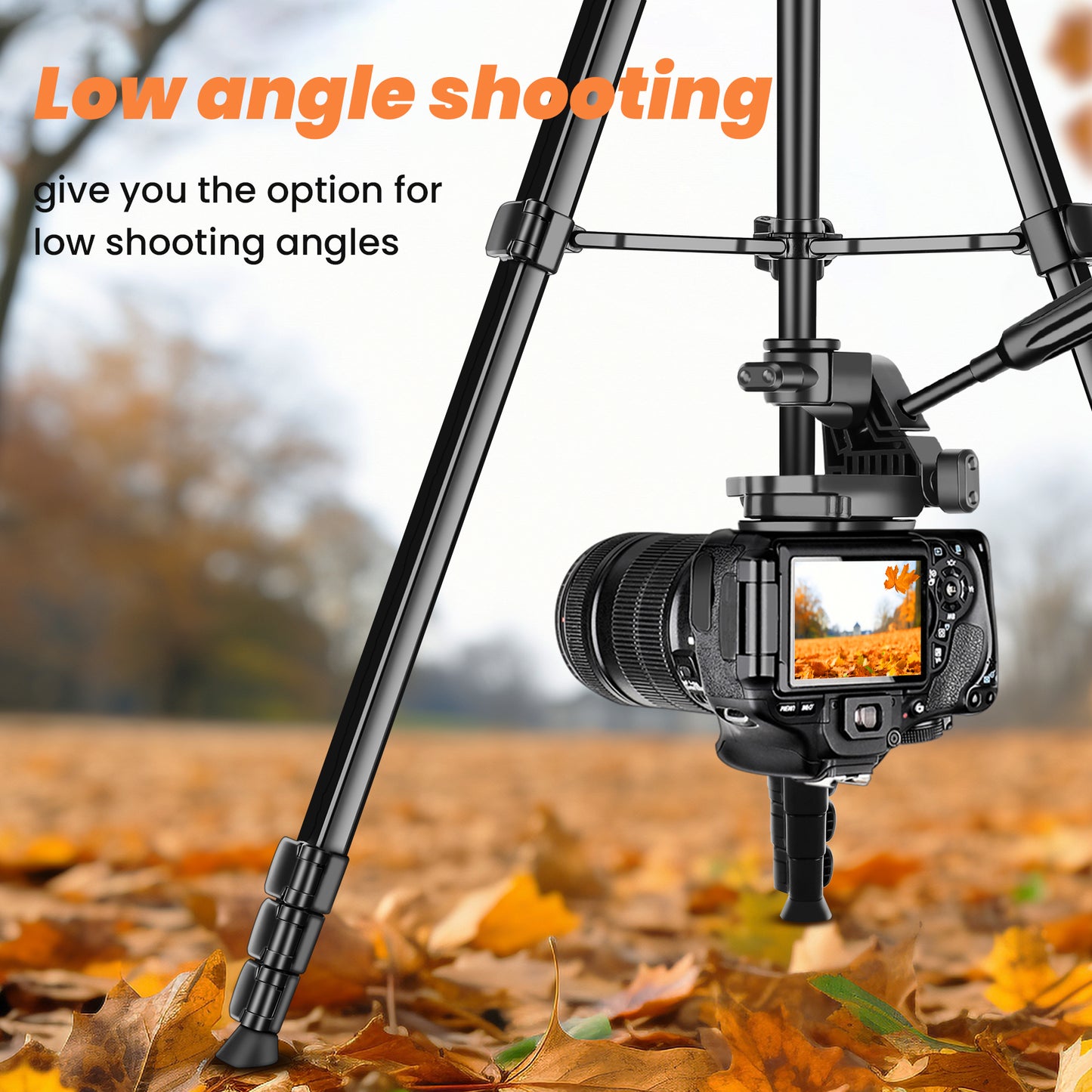 Camera Phone Tripod, 75'' Lightweight DSLR Camera Stand with 3 Way Pan Head, Horizontal Tripod for Smartphone with Remote and Carry Bag for Travel Video Photography YouTube Vlog(EU